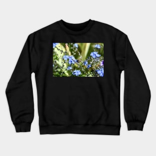 Honey Bees & Blue / Swiss Artwork Photography Crewneck Sweatshirt